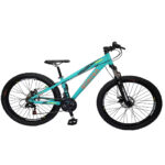 Bicicleta Brabus Freeride