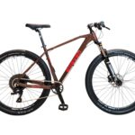 Bicicleta 12 Velocidades aro 29 Limited Edition