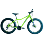Bicicleta FAT