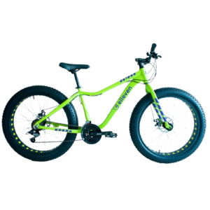 Bicicleta FAT