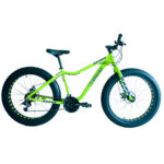 Bicicleta FAT