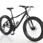 Bicicleta Fat 2023