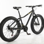 Bicicleta Fat 2023