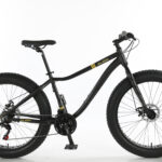 Bicicleta Fat 2023