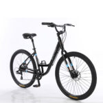 Bicicleta New Breezy 2024