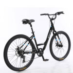 Bicicleta New Breezy 2024