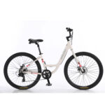 Bicicleta New Breezy 2024