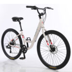 Bicicleta New Breezy 2024