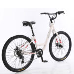 Bicicleta New Breezy 2024