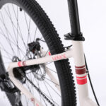 Bicicleta New Breezy 2024