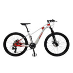 Bicicleta MTB aro 24 em Magnésio